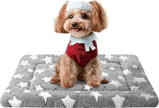 Dog Bed Mat, Reversible Crate Pad & Cute Dog Bed - Machine Washable Kennel Mat with Ultra Soft for Small Dogs (Cool/Warm), 24" x 18", Grey&Star