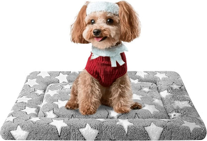 Dog Bed Mat, Reversible Crate Pad & Cute Dog Bed - Machine Washable Kennel Mat with Ultra Soft for Small Dogs (Cool/Warm), 24" x 18", Grey&Star
