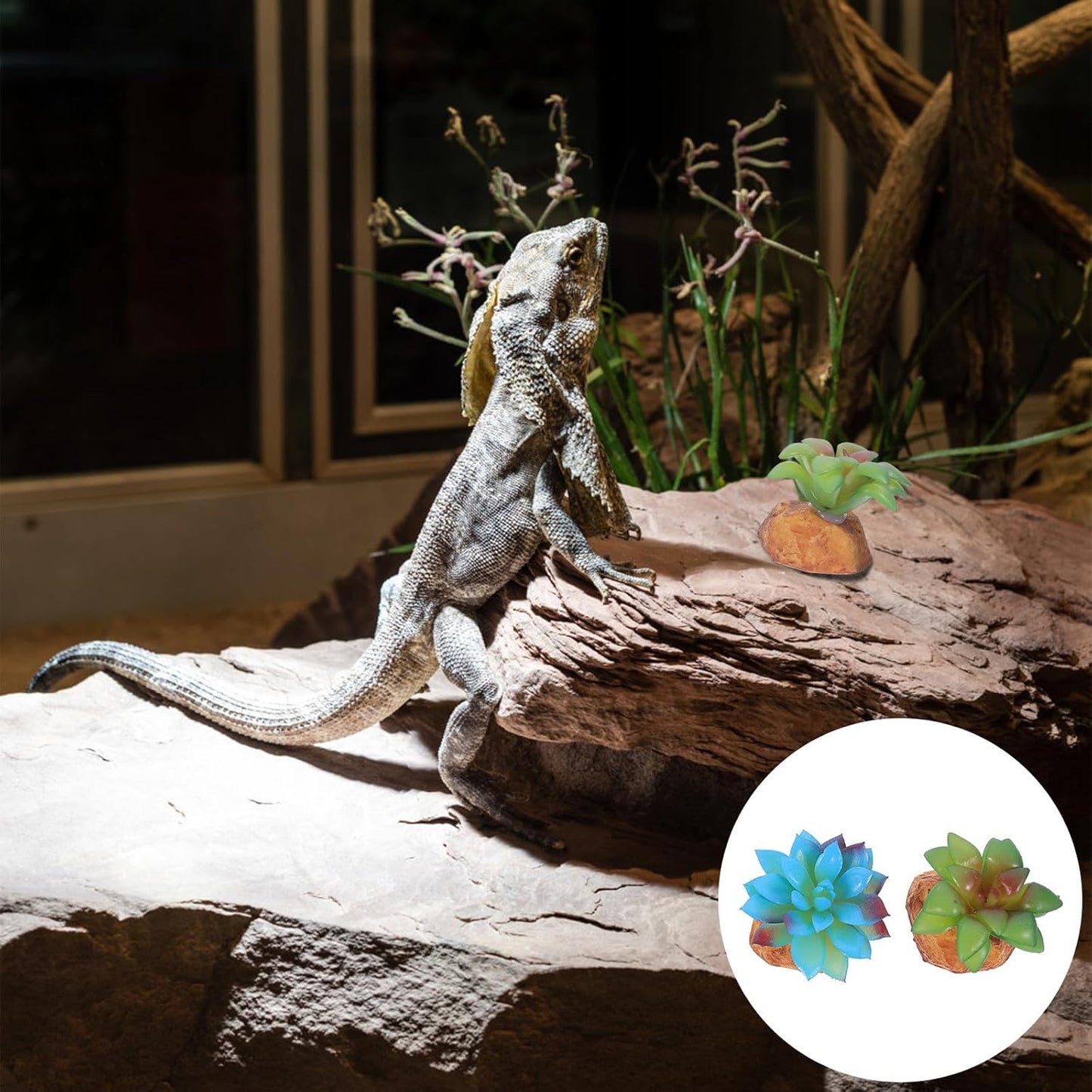 2Pcs Reptile Tank Artificial Succulent Plants Decor Set Lifelike Simulation Plants Adornment for Reptile Habitat Box Sturdy Plastic Terrarium Landscaping Accessories for