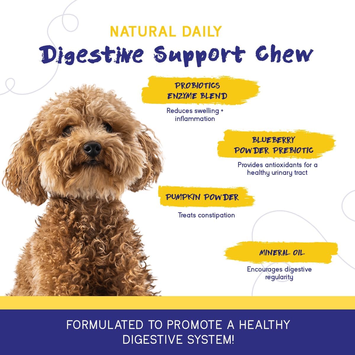 PupGrade Digestive Support Chews for Dogs - Prebiotic and Probiotic Supplement with Enzyme Blend - Upset Stomach, Diarrhea, Bowel, and Immune Support - Pumpkin, Blueberry, Mineral Oil - 180 Soft Chews