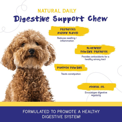 PupGrade Digestive Support Chews for Dogs - Prebiotic and Probiotic Supplement with Enzyme Blend - Upset Stomach, Diarrhea, Bowel, and Immune Support - Pumpkin, Blueberry, Mineral Oil - 180 Soft Chews