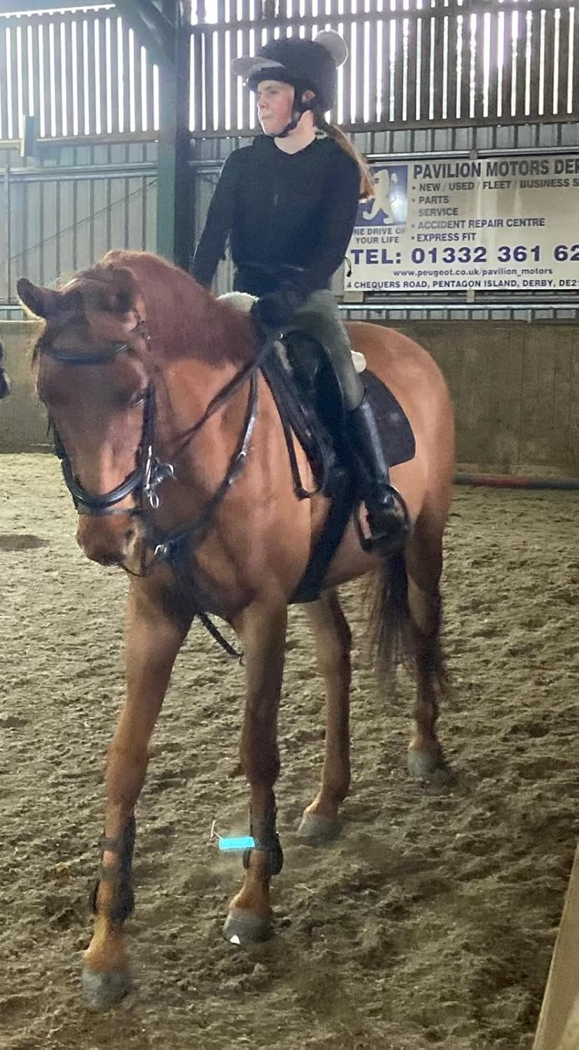 Horse Food Intolerance Test | Sensitivity Food Test Kit | Suitable for All Ages and Breeds | Easy to Use | Non-Invasive Fur Sample | 300 Item Test | Results Report in 3 Days | U.S Based Testing