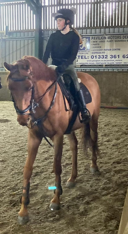 Horse Food Intolerance Test | Sensitivity Food Test Kit | Suitable for All Ages and Breeds | Easy to Use | Non-Invasive Fur Sample | 300 Item Test | Results Report in 3 Days | U.S Based Testing