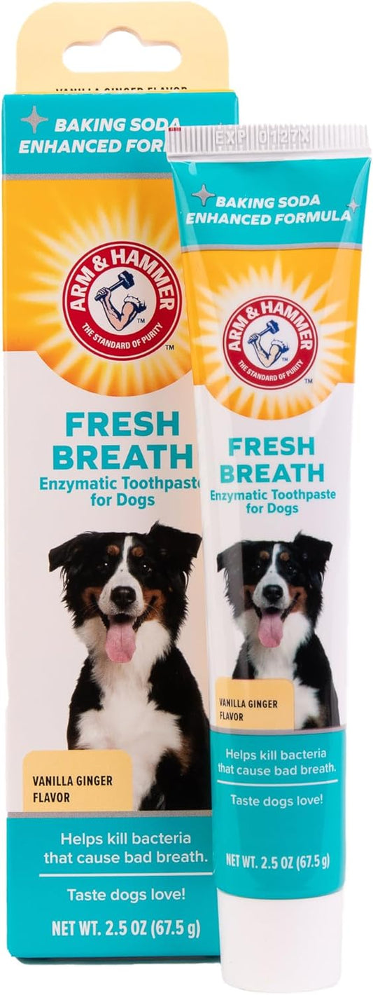 Arm & Hammer for Pets Clinical Care Dental Enzymatic Toothpaste for Dogs Soothes Inflamed Gums Safe for Puppies 1 Pack Fresh Breath Vanilla Ginger (Pack of 1)