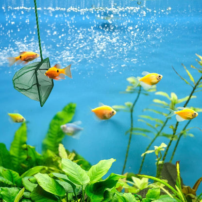 5 Pack Aquarium Fish Net, Multi-Size Fine Quick Fish Catch Nets Nylon Fishing Mesh Nets with Long Plastic Handle for Fish Tank - Green (3in, 4in, 5in, 6in, 6in)