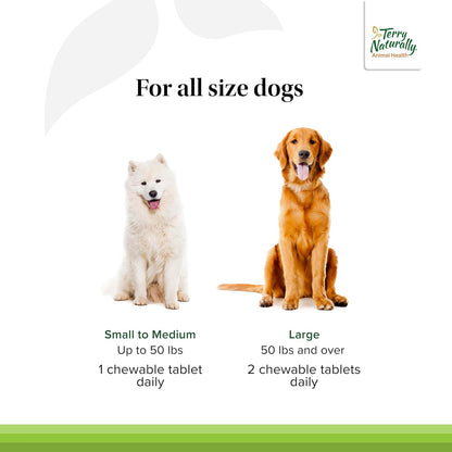 Terry Naturally Healthy Teeth & Gums - for Dogs- Supports Dental Health & Helps Freshen Breath - Supports Healthy Gums - 60 Tablets