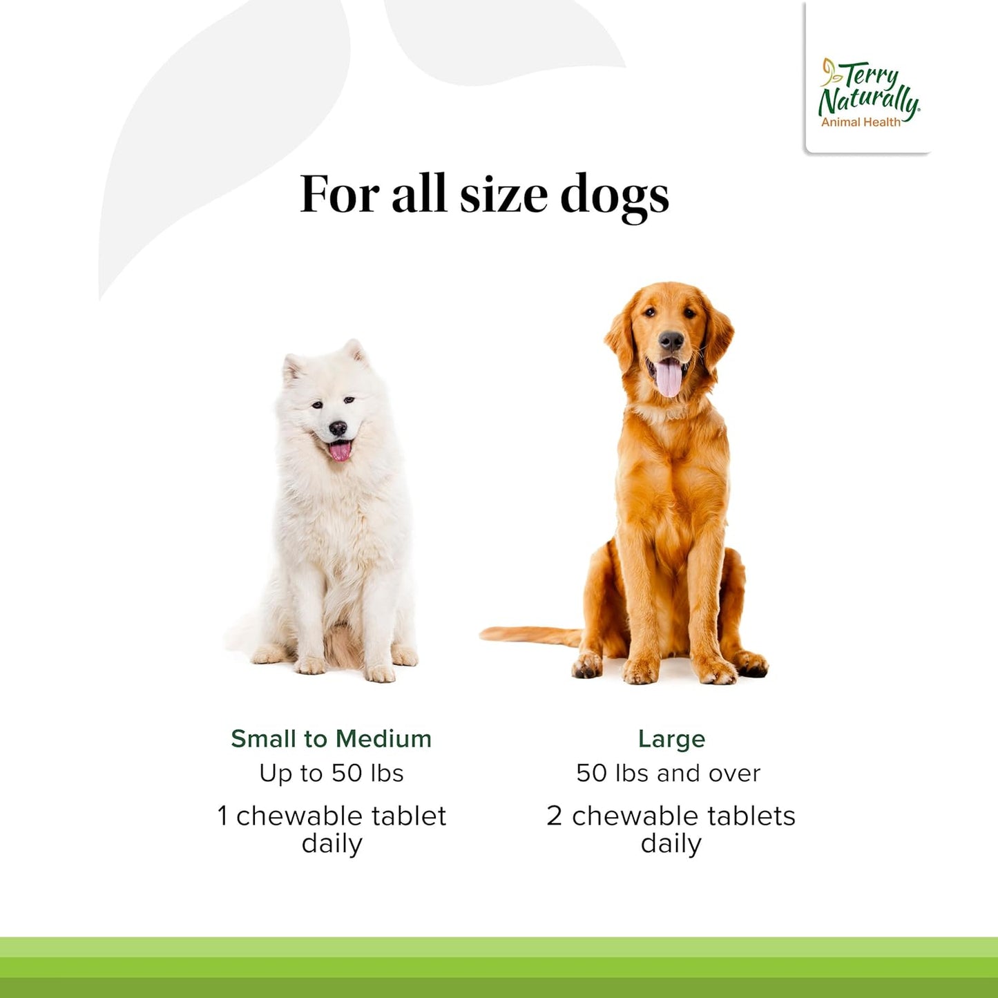 Terry Naturally Healthy Teeth & Gums - for Dogs- Supports Dental Health & Helps Freshen Breath - Supports Healthy Gums - 60 Tablets