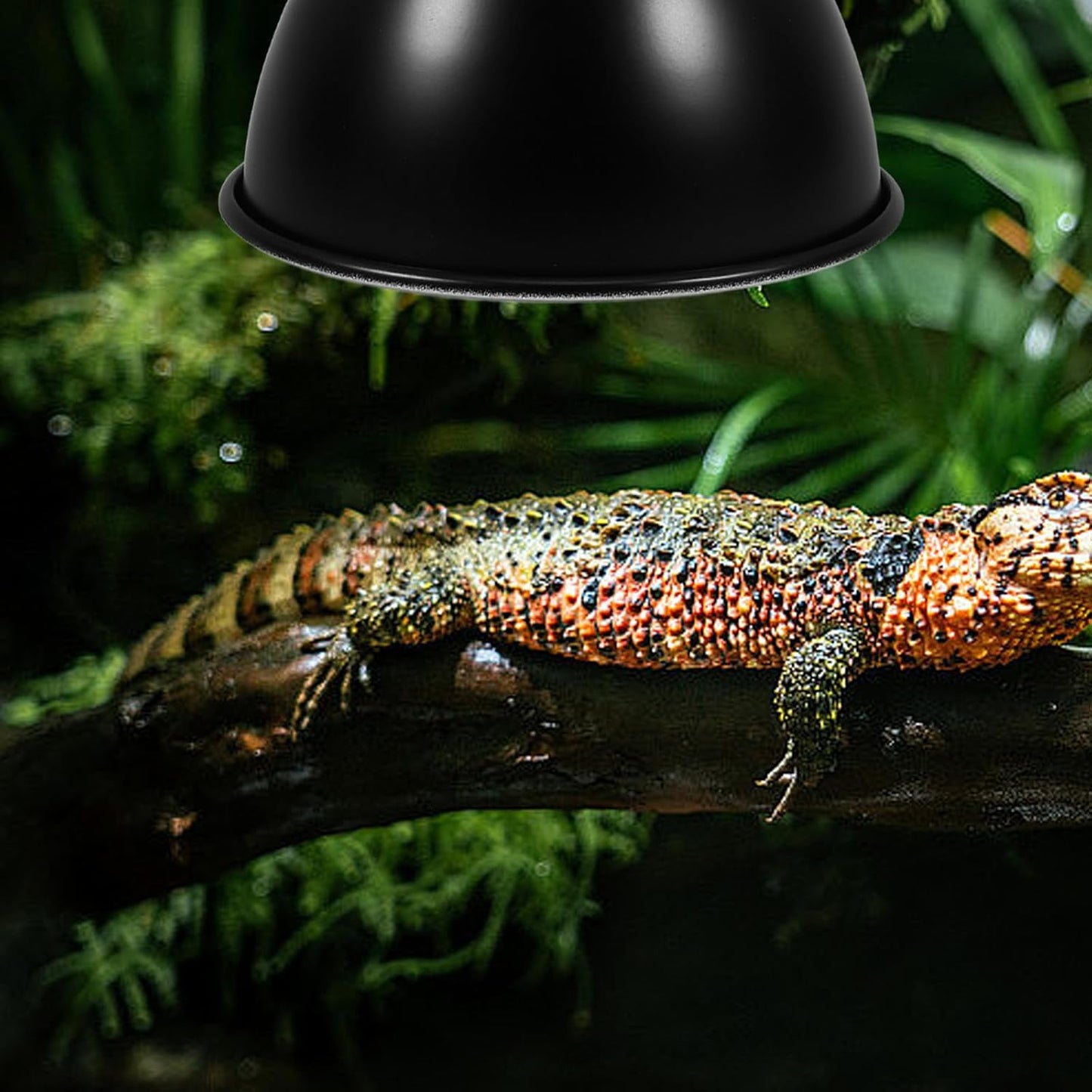 Reptile Heat Lamp Shade 8.5-Inch Metal Reflector Lampshade for Reptile Box Tank Heat Lamp Guard Suitable for Terrarium Heating and Habitat Lighting