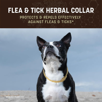 Earth Animal Apothecary Natural Flea & Tick - Herbal Collar for Small Dogs & Puppies - 1 Collar