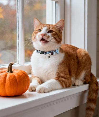 Joytale Upgraded Cat Collar with Bells, Breakaway Cat Collars with Bow Tie, 1 Pack Girl Boy Safety Plaid Kitten Collars, Haze Blue