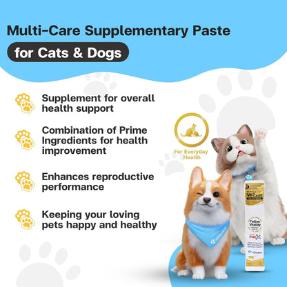 Feline Vitality Cat Supplement – Lickable Paste for Cat Immune Support & Cat Skin Allergy Relief – Daily Multi-Vitamin with Omega 3, Biotin, Prebiotics, Mac, Taurine – 30 Sachets