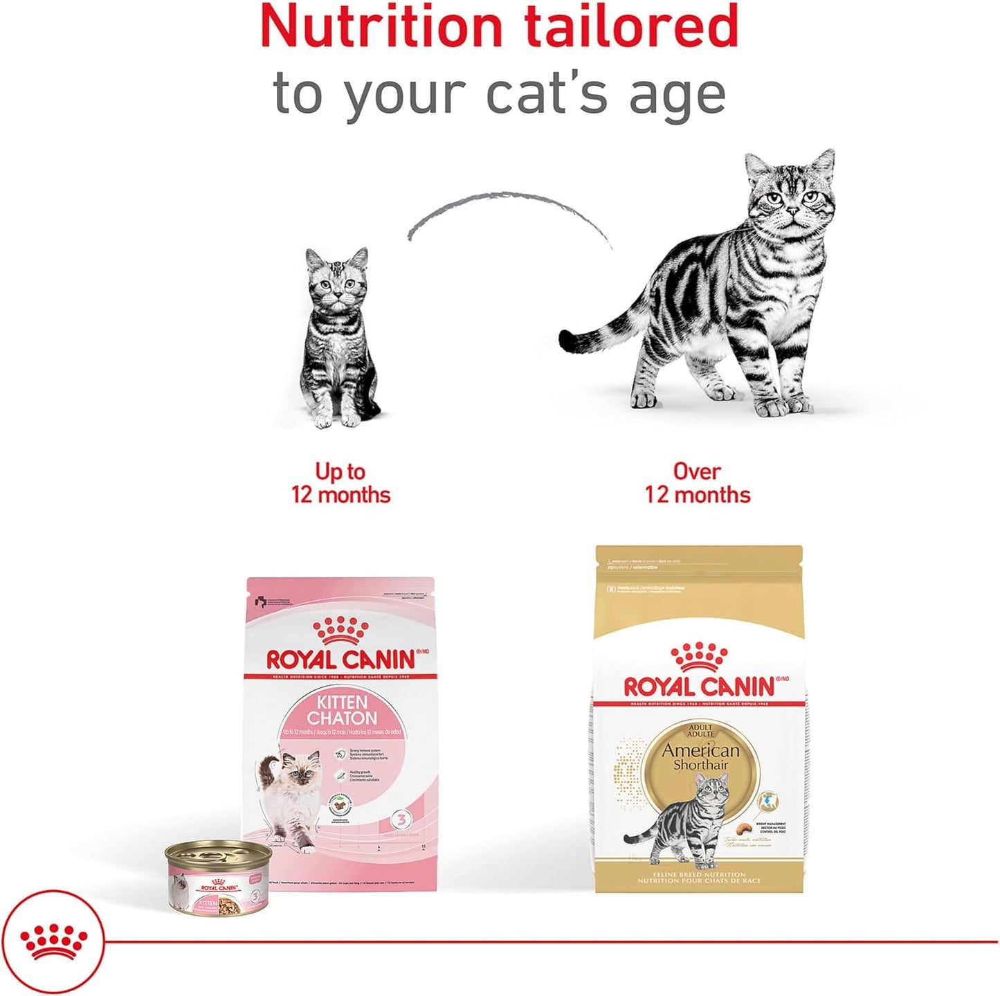 Royal Canin Feline Breed Nutrition American Shorthair Adult Dry Cat Food, 5.5 lb Bag
