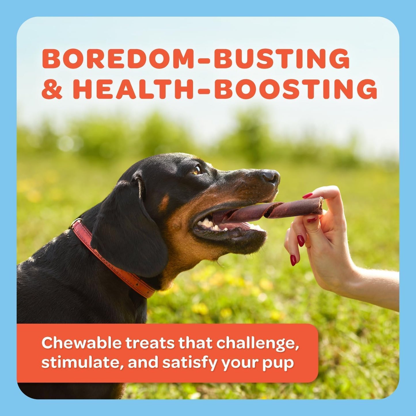 Beef Collagen Sticks for Dogs - One Ingredient Collagen Chews - Collagen Treats - Made in USA Collagen Dog Chews (TP-Collagen-10ct)