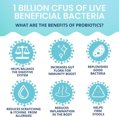 Under the Weather Probiotic Chews for Dogs | Daily Probiotics and Prebiotics for Digestive Health Gut | Balance and Immune Support | Vet Formulated Dog Digestive Supplement | Chicken Flavor | 60 Count