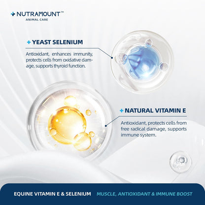 Balanced Natural Vitamin E & Selenium Powder Horse Supplement Supports Overall Health and Performance 30-Day Supply