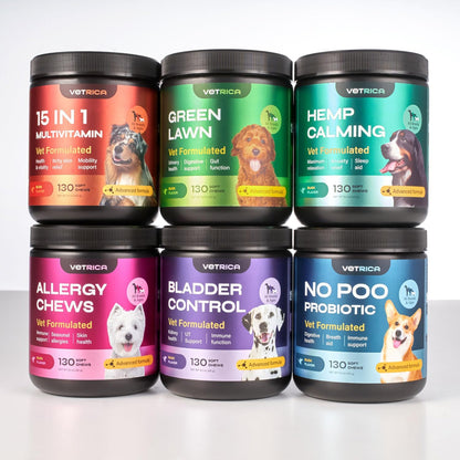 Dog Multivitamin Chews - Vitamins 15 in 1 - Joint Supplement for Dogs - Canine Vitamins & Supplements for Hip & Joint, Immune System, Glucosamine Chondroitin - Coat & Mobility - Itchy Skin Support