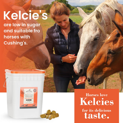 Kelcie’s Horse Care Essentials Bundle - Pumpkin Spice Horse Treats (5 lb) + Hoof Pick Brush Grooming Tool | Healthy Treats & Easy Hoof Cleaning