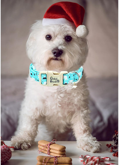 Dog Collar, Blue Bear Print Cute Pet Collars Durable Plastic Buckle Collars Adjustable Pet Collar for Small Girl or Boy Dogs