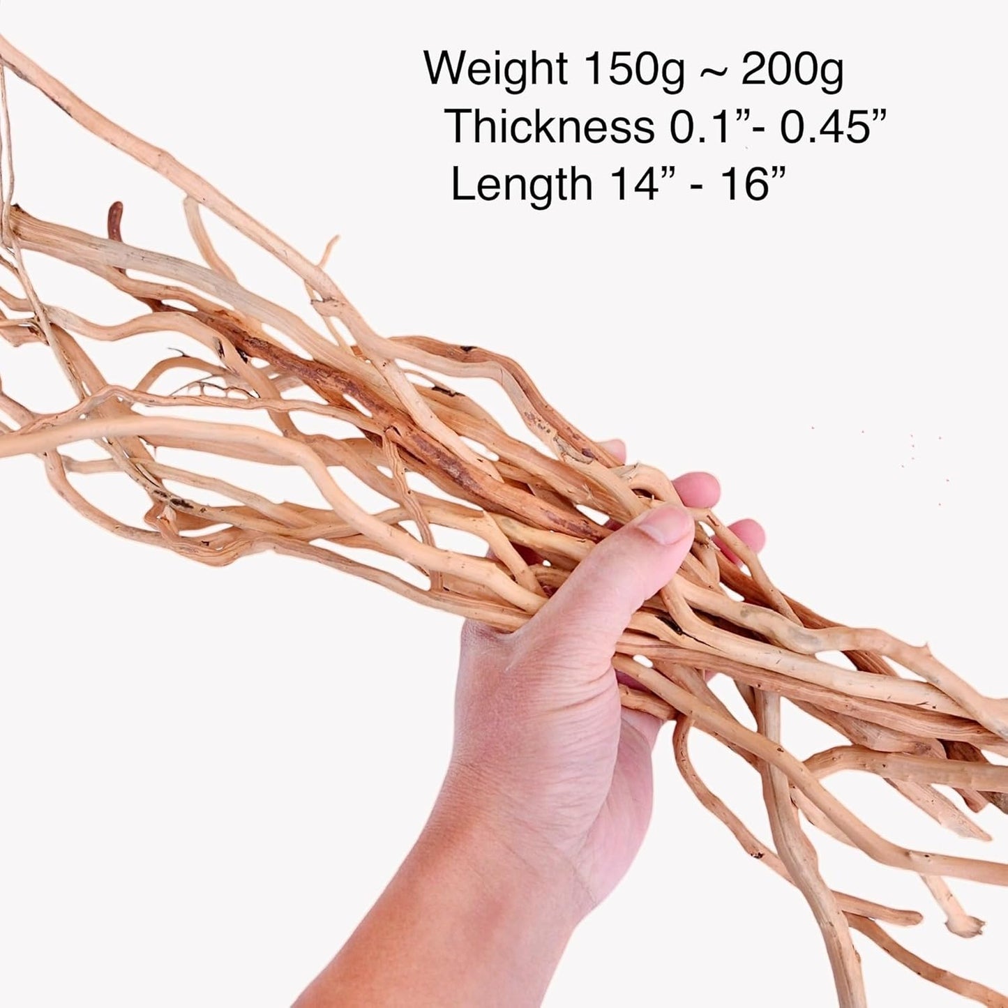 Azil Natural Aquarium Driftwood Root – Driftwood for Aquarium Decor, 170g (14″–16″), Fish Tanks, Terrariums, Aquascaping & Planted Tanks