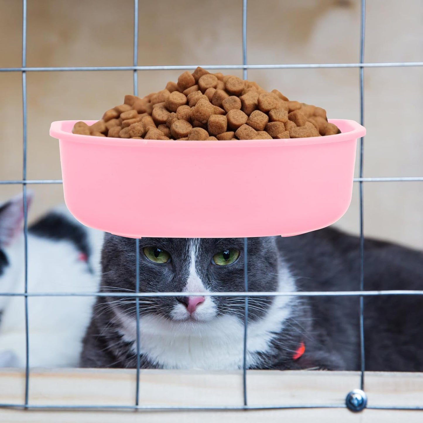 Hanging Pet Bowl Plastic Small Round Dog Bowl with Holder Pink for Puppies and Cats Suitable for Travel and Kennel Use