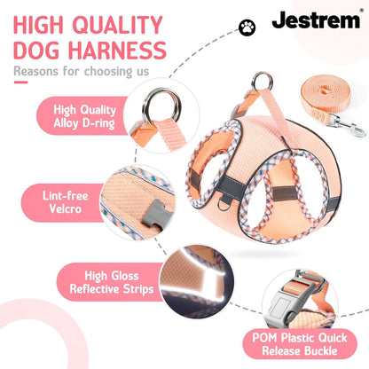 Cat Harness and Leash Set - Breathable Mesh Vest with Reflective Strips, Escape-Proof Harness with No-Choke Design Secure Lock Buckles for Kittens or Puppies, XXS Pink(Fits 1-4 lbs Kittens)