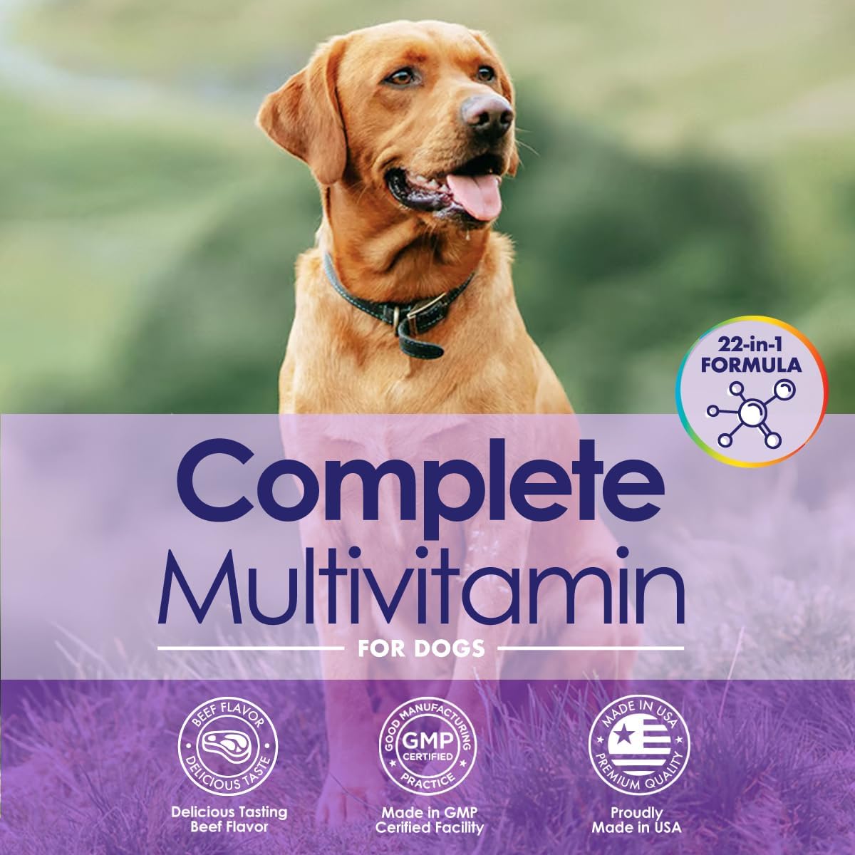 Dog Multivitamins Chewable Supplement - 22 in 1 Dog Vitamins for Itchy Skin & Coat, Immune System, Joints & Overall Health - Vitamins A, B, C, D, E, K & Antioxidants - 60 Chews - Beef Flavor