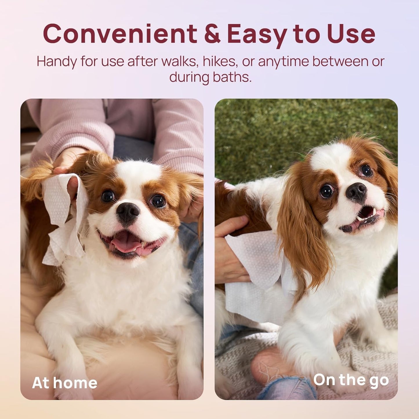 HICC PET Wipes for Dogs and Cats, Vet-Recommended Pets Cleaning Wipes, Deodorizing Hydrating, Nourishes Smoothes Fur, Fermented Coconut Oil Grooming Paws Body and Butt, Horse Skin Coat, Rose, 100pcs