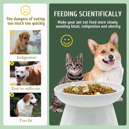 BNOSDM Raised Cat Slow Feeder Bowl and 2 Pcs Yellow Cat Dish for Cats and Dogs
