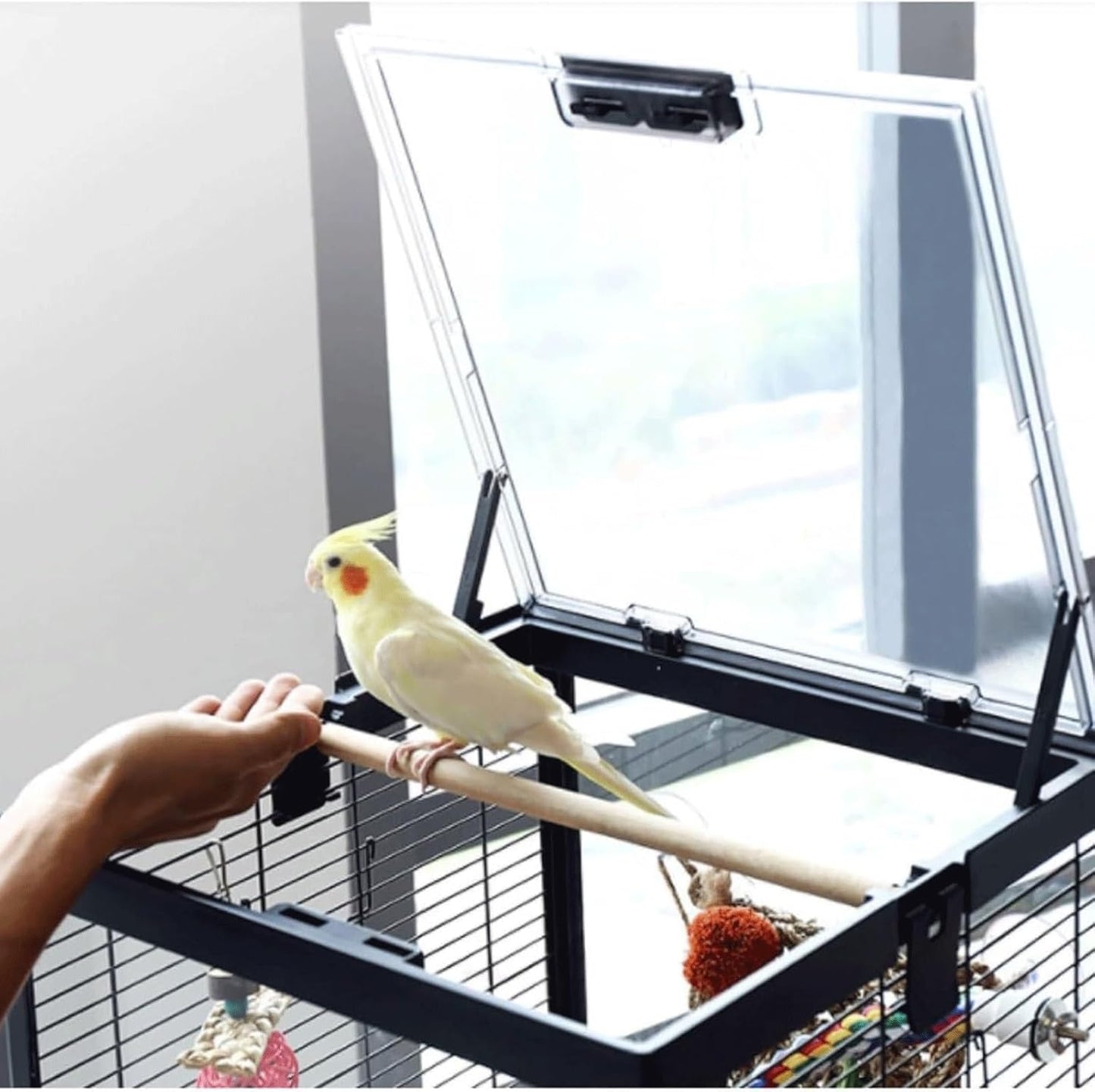 Bird Cage Clear Acrylic Bird Aviary Portable Tall Tiel Cage Parrot Cage Flight Birdcag Bird Carrier with Wooden Stand Travel Cage(White)