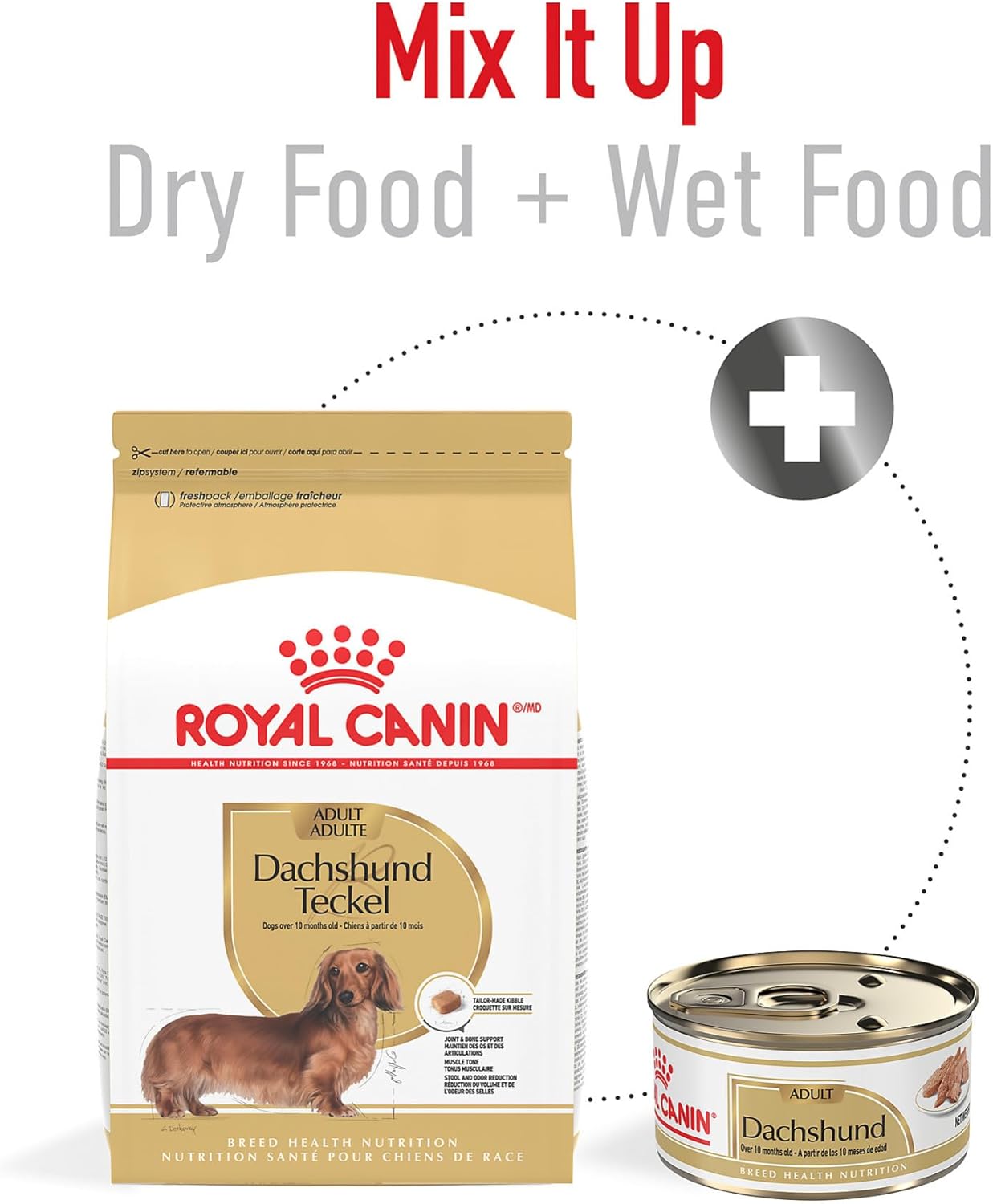 Royal Canin Breed Health Nutrition Dachshund Adult Dry Dog Food, 10 lb Bag