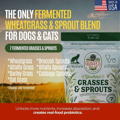 Gussy's Gut Youthful Grasses & Sprouts Dog Gut & Digestive Health Supplement- Human Grade Fermented Ingredients- Super Greens, Pre/Post & Probiotic All in One - Maintain Protocol