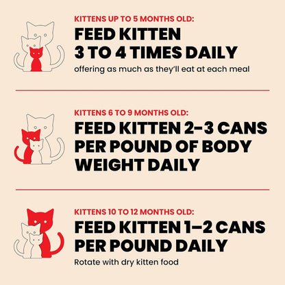 almo nature HQS Natural Wet Cat Food Chicken Recipe in Broth - Kitten, Grain-Free, 2.47 oz (Pack of 24)