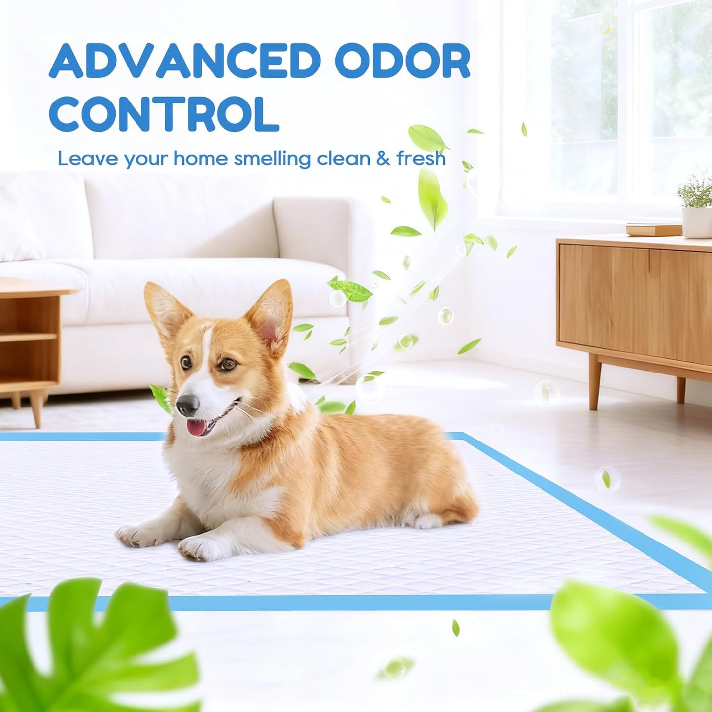 60 Count-30" x 36" XXL Puppy Pads, Extra Large Pee Pads for Dogs, Super Absorbent Disposable Dog Training Pads, Quick Drying, Leak-Proof, Ultra Thick Potty Pads for Dogs, Puppies, Doggie, Cats