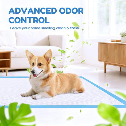 60 Count-30" x 36" XXL Puppy Pads, Extra Large Pee Pads for Dogs, Super Absorbent Disposable Dog Training Pads, Quick Drying, Leak-Proof, Ultra Thick Potty Pads for Dogs, Puppies, Doggie, Cats