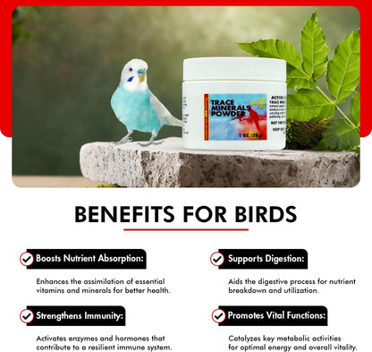 Morning Bird Trace Minerals Powder 1 Oz – Complete Mineral Supplement for Birds – Promotes Energy, Metabolism & Enzyme Activity – Easy to Mix for Daily Vitamin Support.