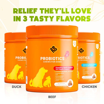 ZENO Probiotics for Dogs Chews - 150 pcs - Digestive & Gut Health Support - Probiotic Chews for Dogs with Enzymes & Natural Ingredients - Vet-Approved US Formula - Beef Flavored