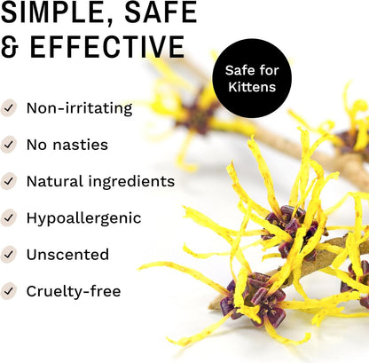 Eye Envy Tear Stain Wipes for Cats. Textured to Gently Clean, Treats The Cause of Staining. 100% Natural Formula. Recommended by Persian & Exotic Breeders, Vets, Groomers. USA Made. 60 Cat Eye Wipes