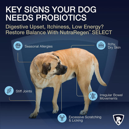 Select Senior Dog Digestive Probiotic Powder and Dental Support Bundle | Pet Dental Powder & Dog Breath Freshener, 7 Bn CFU | 60 Servings, 6.7 oz