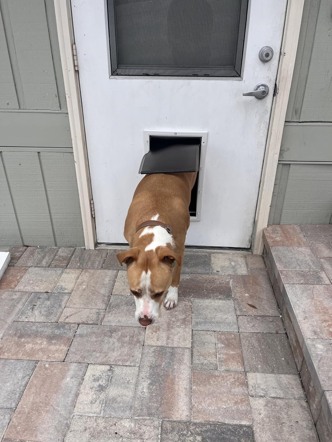 2 Pack Large Dog Door Replacement Flaps PAC11-11039 with 2 Metal Bracket, Compatible with PetSafe Freedom Dog and Cat Door, Magnetic Closure (Smoky Translucent)