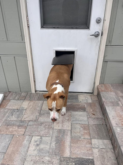 2 Pack Large Dog Door Replacement Flaps PAC11-11039 with 2 Metal Bracket, Compatible with PetSafe Freedom Dog and Cat Door, Magnetic Closure (Smoky Translucent)