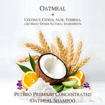 Premium Concentrated Oatmeal Dog Shampoo with Coconut and Aloe (17 oz) - Soothing and Itch Relief, Moisturizes Dry Skin