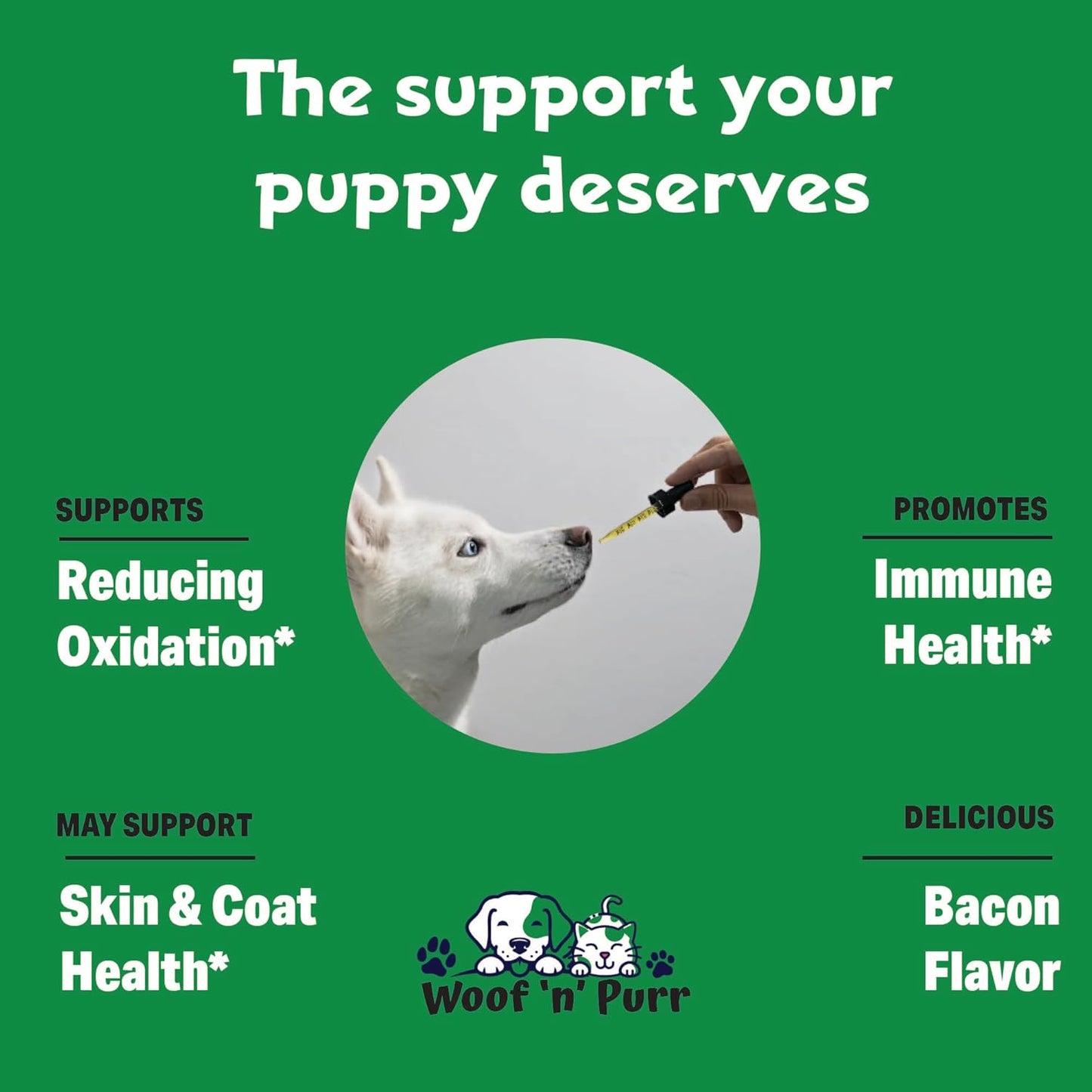 Vitamin E for Dogs - Vitamin E Dog - Vitamin E for Dog - Dog Vitamins E - Vitamin E Canine - Vitamin E Supplement for Dogs - Vitamin E Oil Dog - Dog Vitamins - Dog Immune Support - 1 fl oz