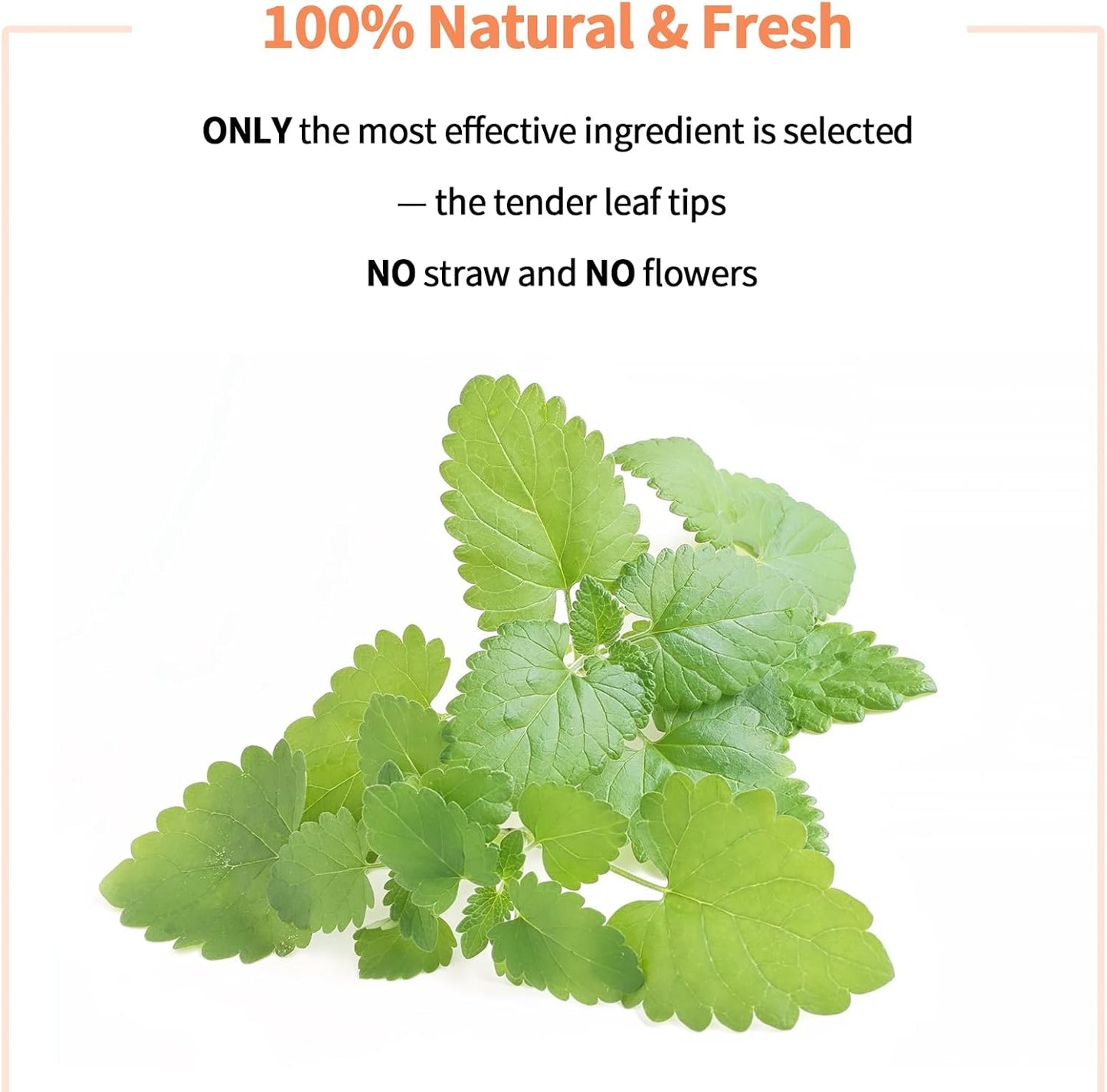 Premium Catnip for Cats & Kittens – Cold-Processed, High Potency Nepetalactone, 100% Pure Organic Leaf-Only Catnip for Toys, Scratchers, Refills, Stimulates Play & Protects Furniture - 15g