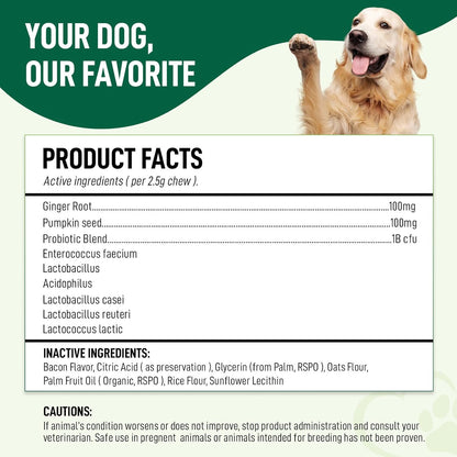 Probiotics for Dogs 120 Chews - Digestive Enzymes & Gut Health Support with Pumpkin Seed, Ginger Root – Dog Probiotics for Diarrhea, Bowel & Immune Support - Bacon Flavor, Soft Chews