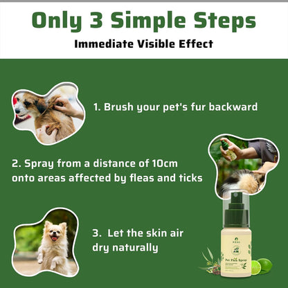 Natural Spray for Dogs & Cats - Itch Relief & Skin Soothing Spray with Eucalyptus Lemon Oil - Safe for Sensitive Skin, Reduces Irritation, Neutralizes Odor, and Protects Skin - [Spray + Shampoo]