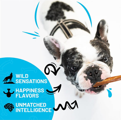 Sitka Farms Bully Sticks 6 Inch 40 Count and Pig Ears 12 Count Premium Dog Treats Bundle