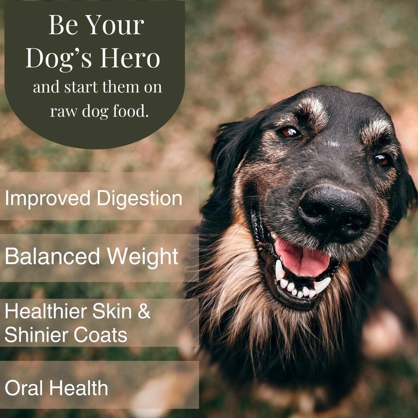 BJ'S RAW PET FOOD Freeze Dried Basic Complete & Balanced Dog Food | Chicken & Beef High-Protein Meal for Optimal Health | Made in USA, 14-Ounce