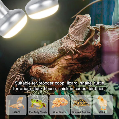 Reptile Heat Lamp 100W, 2 Pack Intense UVA Basking Light Bulbs, Flat-Base Heat Emitter, Heat Lamp Bulb for Reptile Chick