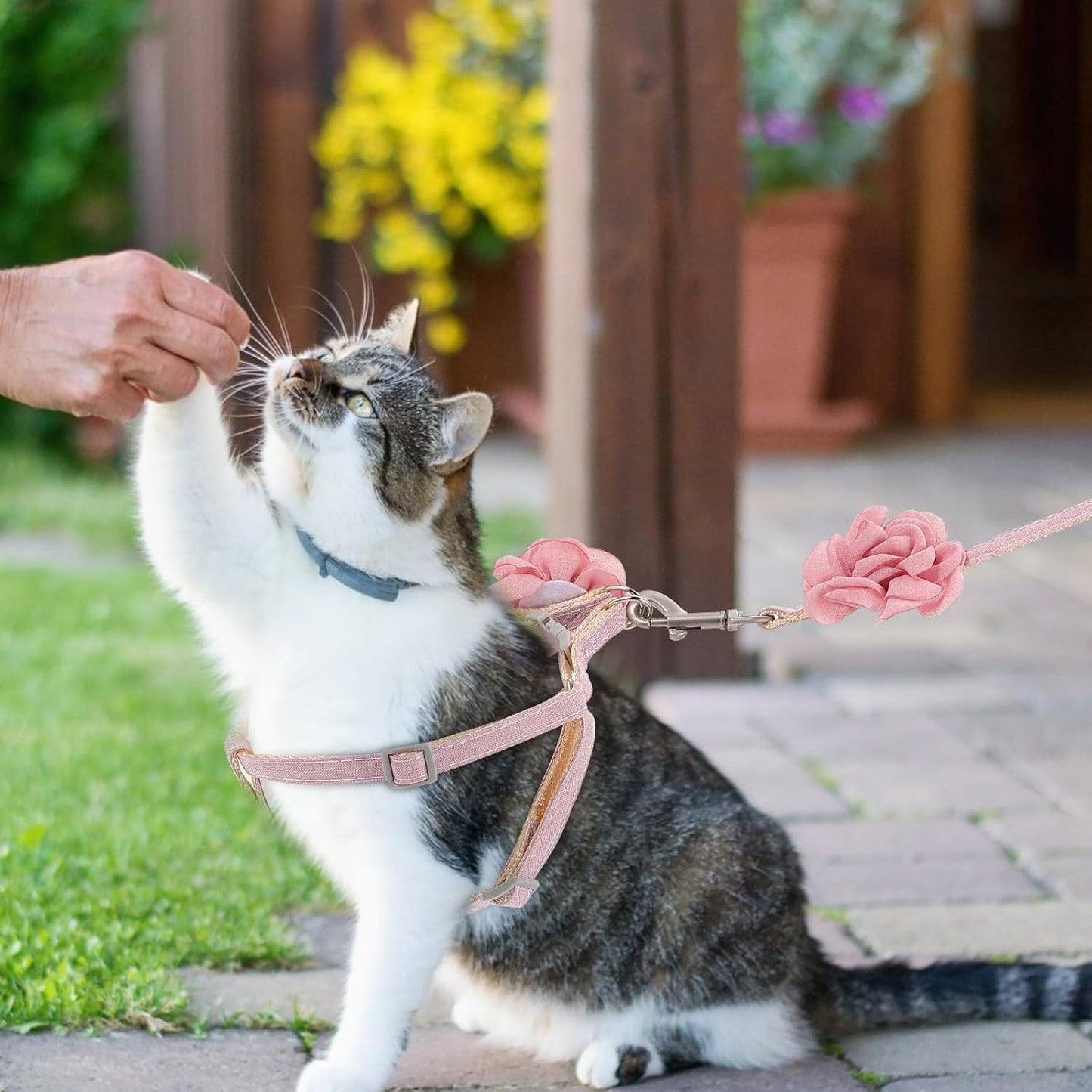 ERINGOGO Cat Harness and Leash Adjustable Cotton Linen Traction Rope 1.0Cm Light Pink Breathable Outdoor Walking Strap for Cats and Kittens