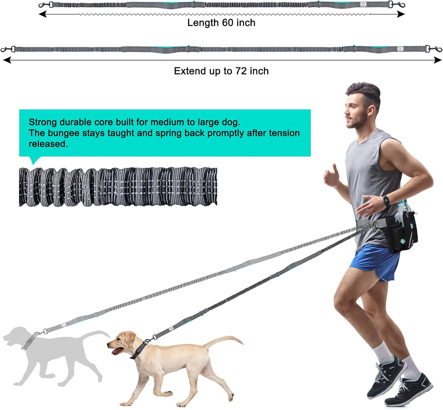 SHINE HAI Retractable Hands Free Dog Leash with Dual Bungees for 2 Dogs, Adjustable Waist Belt Fanny Pack, Reflective Stitching Leash for Running Walking Hiking Jogging Biking Black